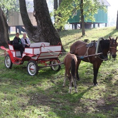 База отдыха Якорь, Нижнекамский район, Татарстан