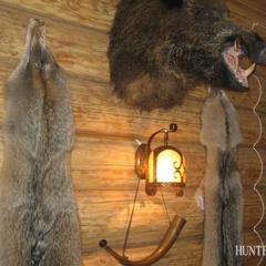 Охотничье хозяйство Охотничьи традиции, Вяземский район, Смоленская область