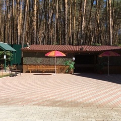 База отдыха Смольный, Ичалковский район, Республика Мордовия