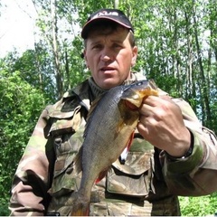 Охотничья база Кречет, Ельнинский район, Смоленская область