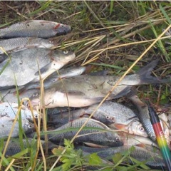 Охотничья база Кречет, Ельнинский район, Смоленская область