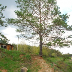 База отдыха Наша Поляна, Набережные Челны, Татарстан