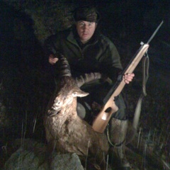 Охотничье хозяйство Охотничьи традиции, Вяземский район, Смоленская область