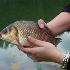 База отдыха Стальной азарт, Тюмень, Тюменская область