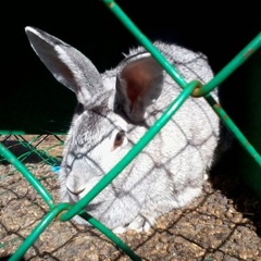 База отдыха Акватория, Заводоуковский район, Тюменская область