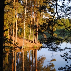 Загородный комплекс Горлица, Глазовский район, Республика Удмуртия