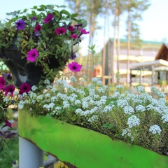 База отдыха Кумуткан, Баргузинский район, Республика Бурятия