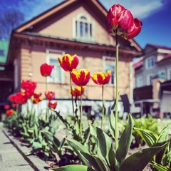 Гостевой дом У Покровки, Псков, Псковская область