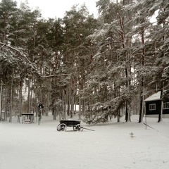 Центр активного отдыха Лукоморье, Печорский район, Псковская область