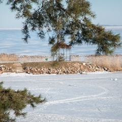 Центр активного отдыха Лукоморье, Печорский район, Псковская область