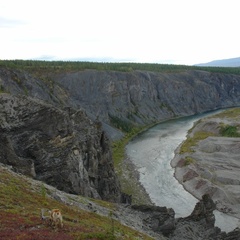База отдыха Орлиный, Инта, Республика Коми