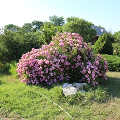 База отдыха  База отдыха «Домик у моря» , Черноморский район, Крым