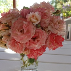 База отдыха  База отдыха «Домик у моря» , Черноморский район, Крым