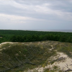Турбаза Здоровье, Зеленоградский район, Калининградская область