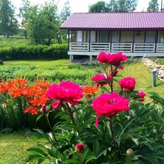 Гостевой дом Paaso, Сортавала, Республика Карелия