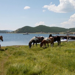 База отдыха Байкальский ветер, Ольхонский район, Иркутская область
