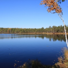 База отдыха Черкесовская заимка, Молчановский район, Томская область