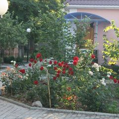 База отдыха Seit-Nebi, Поселок Курортное, Крым, Крым