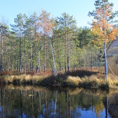 База отдыха Черкесовская заимка, Молчановский район, Томская область