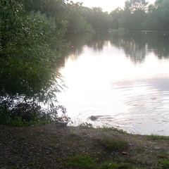 База отдыха Стрелец, Белореченский район, Краснодарский край