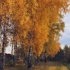 Турбаза Малиновка, Белорецкий район, Республика Башкортостан