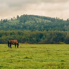Турбаза Малиновка, Белорецкий район, Республика Башкортостан