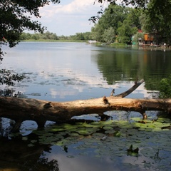 Загородный отель Путь к себе, Рамонский район, Воронежская область