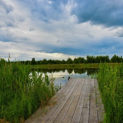 База отдыха Некрасовская дача, Некрасовский район, Ярославская область