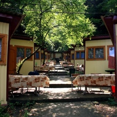 База отдыха Море сосен, Геленджик, Краснодарский край