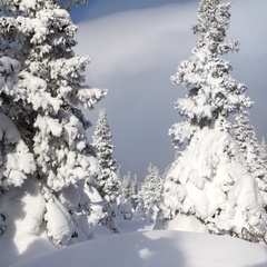 Турбаза Малиновка, Белорецкий район, Республика Башкортостан