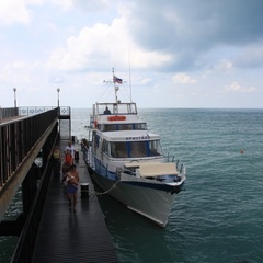 База отдыха Море сосен, Геленджик, Краснодарский край