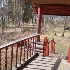 База отдыха Яркое, Приозерский район, Ленинградская область