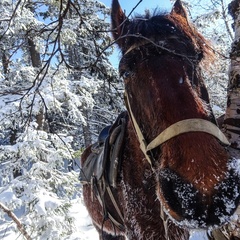 Турбаза Малиновка, Белорецкий район, Республика Башкортостан