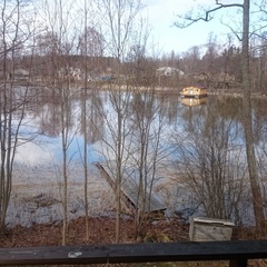 База отдыха Яркое, Приозерский район, Ленинградская область