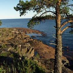 База отдыха и рыбалки Бряус, Питкярантский район, Республика Карелия