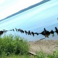 База отдыха Белый Берег, Добрянка, Пермский край