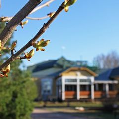 База отдыха Свирская, Волховский район, Ленинградская область