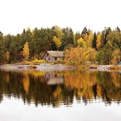 База отдыха Лесная Сказка, Выборгский район, Ленинградская область