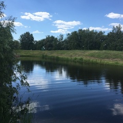 База отдыха Подсолнухи, Кормиловский район, Омская область