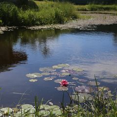 База отдыха Свирская, Волховский район, Ленинградская область