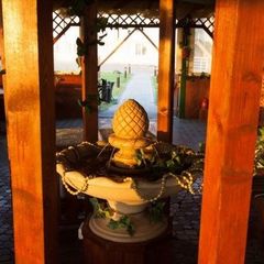 Центр активного отдыха Ильинка, Красногорский район, Московская область