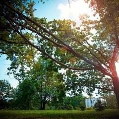 База отдыха Зайцева гора, Барятинский район, Калужская область