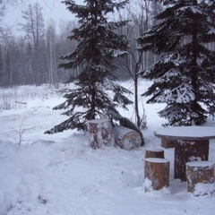 База отдыха Пихтовый гребень, Новосибирская область