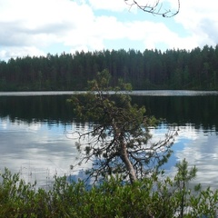 База отдыха Хекселя, Сортавала, Республика Карелия