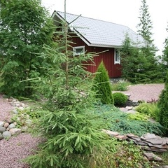 Гостевой комплекс Вепсский хутор, Прионежский район, Республика Карелия