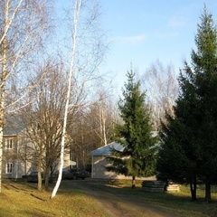 База отдыха Белкина Грива, Костромской район, Костромская область