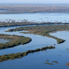 База отдыха Белкина Грива, Костромской район, Костромская область