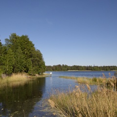 База отдыха Лосево Парк, Приозерский район, Ленинградская область