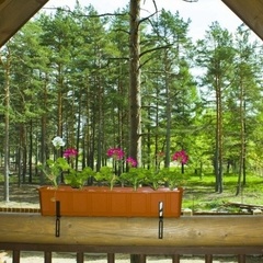 Загородный клуб Малинка, Приозерский район, Ленинградская область