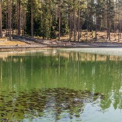 Загородный отель Райвола, Выборгский район, Ленинградская область